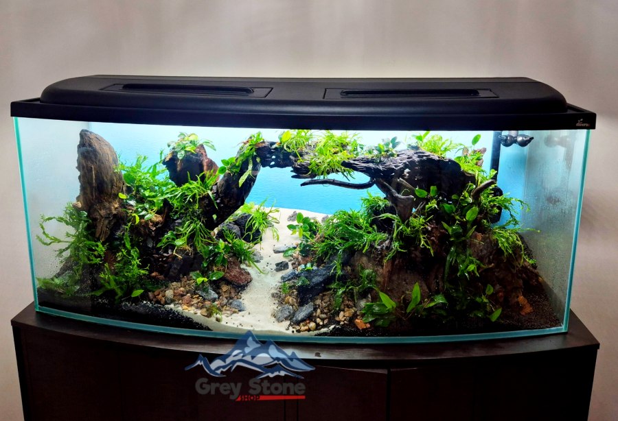  450_l_jak_z_dawnych_lat_2