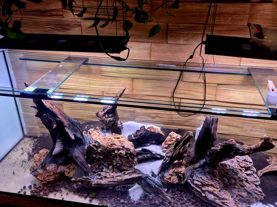 akwarium_w_sochaczewie_1