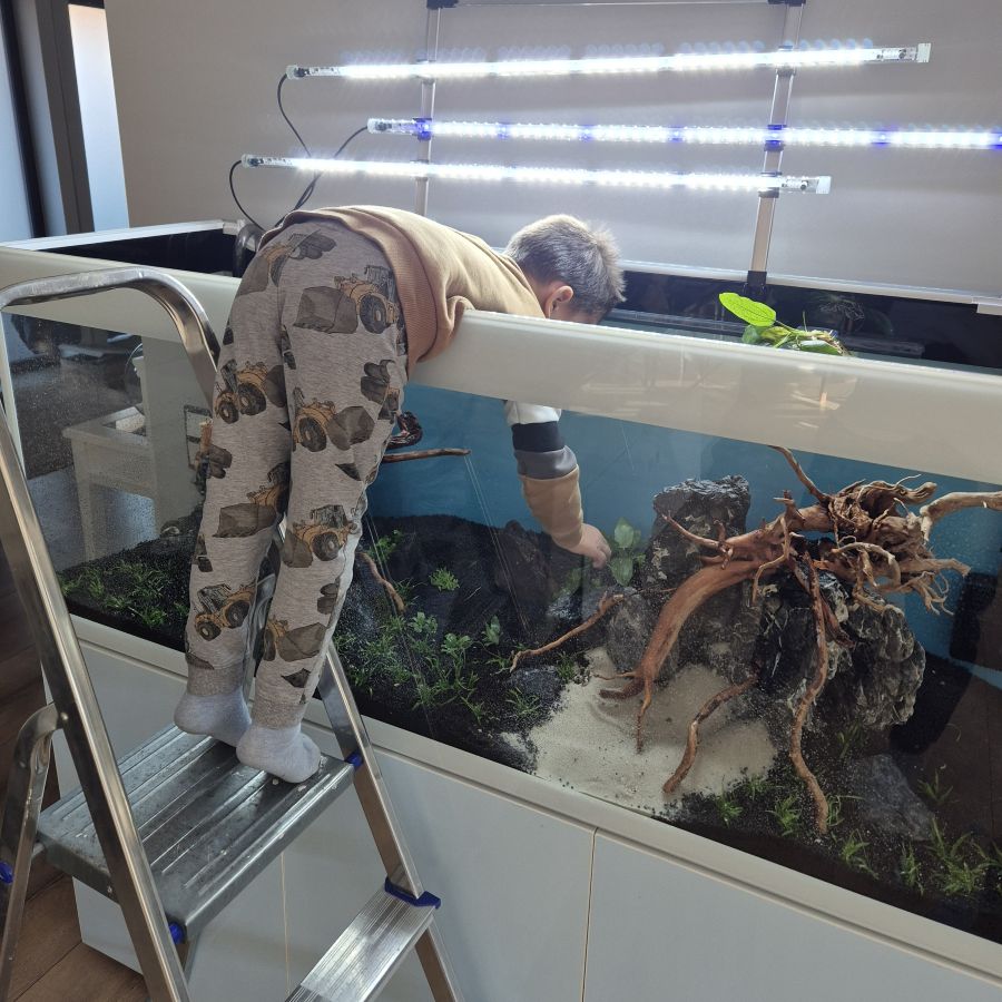 glossy_150_szczecin_2