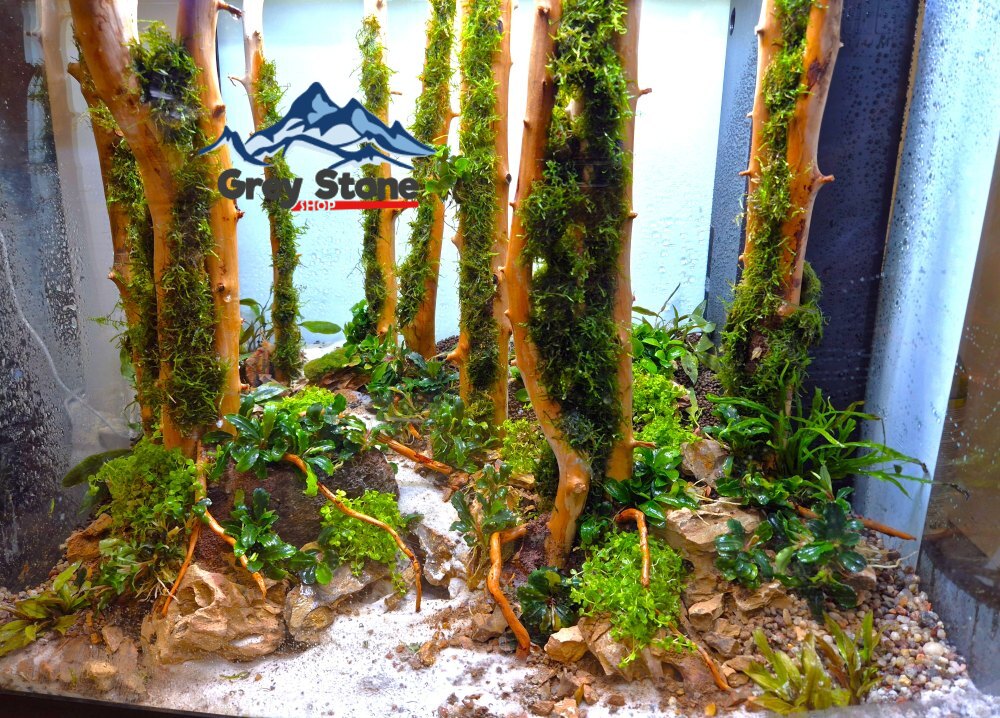 akwarium_pana_tomasza_2