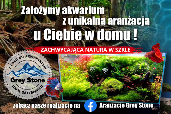 zrobimy aranżację