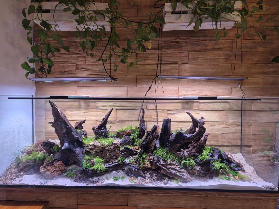 Akwarium 200 x 60 x 65 - proste, ale dynamiczne linie nadadzą charakteru zbiornikowi w Sochaczewie [VIDEO]