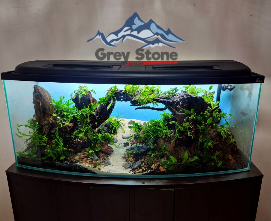 Akwarium panoramiczne jak za dawnych lat - 450 l w naszym stylu [VIDEO]