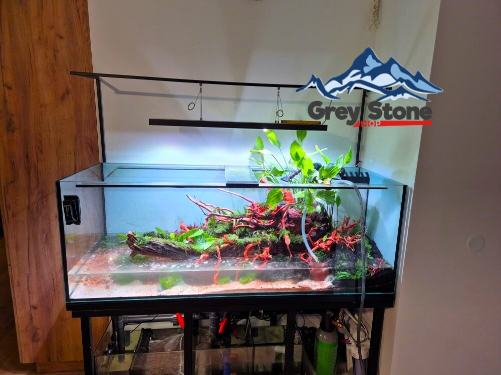 600 l na kujawach - klasyk i naturalny styl [VIDEO]