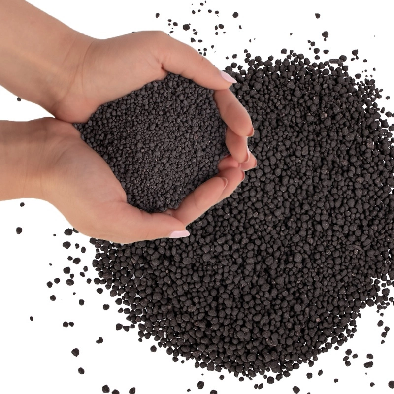 Jakie podłoże wybrać? Piasek, żwir czy podłoże aktywne dla roślin