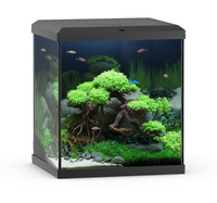 Akwarium Vio Cube 54 czarne