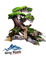 Drzewko Bonsai 25x25x30 Gotowa aranżacja