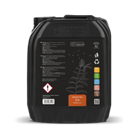 5000 ml