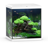 Akwarium Vio Cube 54 białe