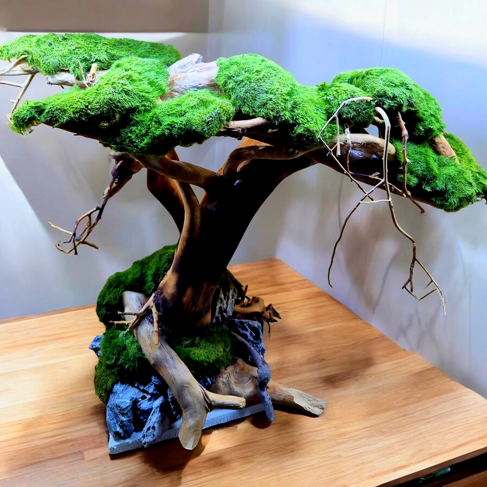 Drzewo #TreeAvatar 35 x 20 x 40 | Sklep  Dekoracje do